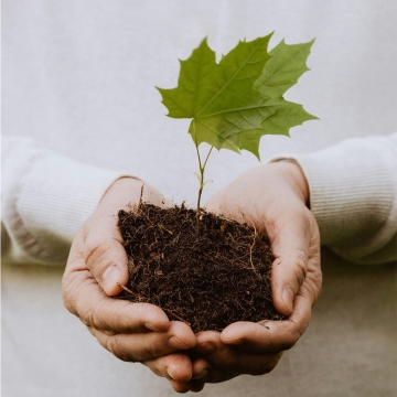 What Is Waqf? The Islamic Tradition of Sustainable Charity What Is Waqf? The Islamic Tradition of Sustainable Charity